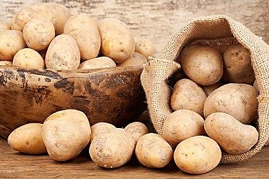 《牧场物语 来吧！风之繁华集市》伴侣介绍影片：榭露芙